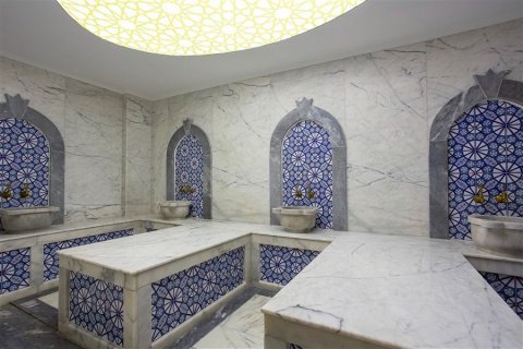 Penthäuser  in Oba, Antalya, Türkei Nr. 222345 - 6