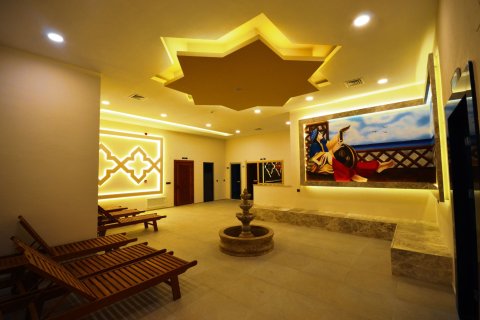 2+1 Leilighet  i Alanya, Antalya, Tyrkia Nr. 217395 - 18