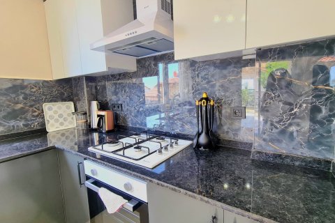 Продажа виллы в Бекташе, Аланье, Анталье, Турция 2+1, 300.0м2, №213836 – фото 10