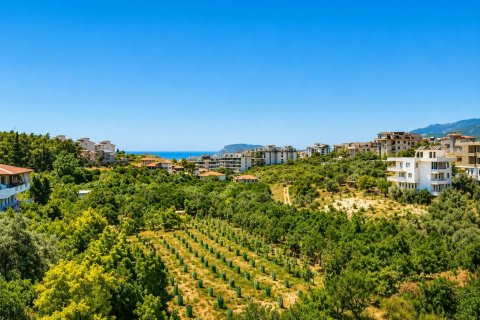 2+2 Lägenhet i Oba, Antalya, Turkiet Nr. 227595 - 22
