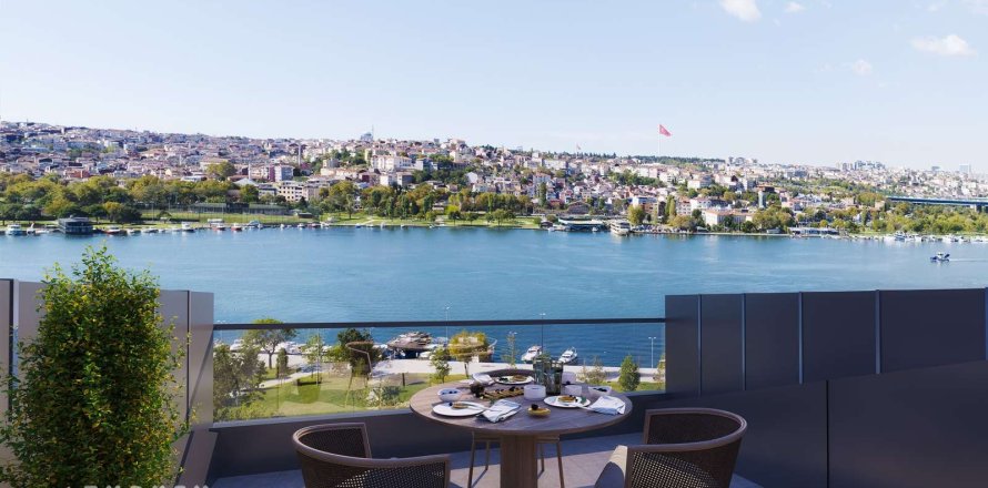 Daire 1+1 İstanbul, Türkiye №233466