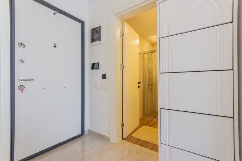 1+1 Wohnung  in Alanya, Antalya, Türkei Nr. 213850 - 20