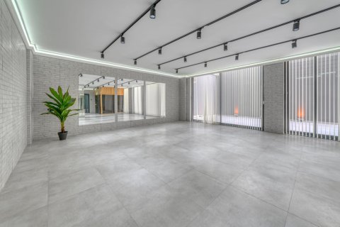 4+1 Villa i Alanya, Antalya, Tyrkiet Nr. 216887 - 16