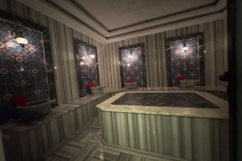 1+1 Wohnung  in Alanya, Antalya, Türkei Nr. 216885 - 3