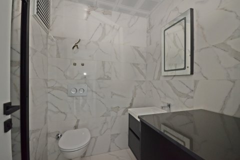 1+1 Wohnung  in Alanya, Antalya, Türkei Nr. 216881 - 21