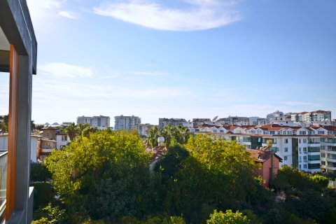 1+1 Wohnung  in Alanya, Antalya, Türkei Nr. 216881 - 27