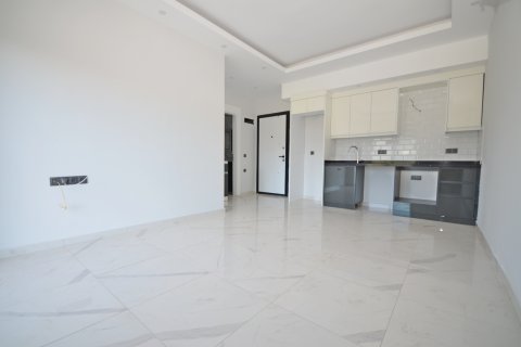 1+1 Wohnung  in Alanya, Antalya, Türkei Nr. 216881 - 17