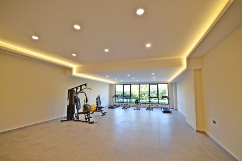 1+1 Wohnung  in Alanya, Antalya, Türkei Nr. 216881 - 3