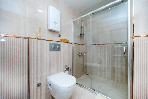 1+0 Wohnung in Cikcilli, Antalya, Türkei Nr. 225412 - 10