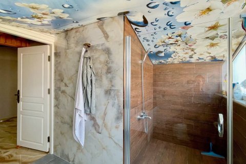 3+1 Lejlighed  i Alanya, Antalya, Tyrkiet Nr. 215486 - 33