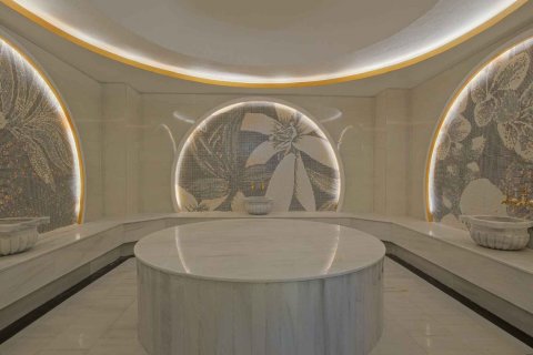 3+1 Lägenhet  i Alanya, Antalya, Turkiet Nr. 215483 - 25