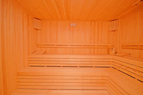 3+1 Wohnung  in Alanya, Antalya, Türkei Nr. 216914 - 22