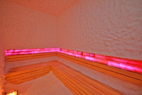 3+1 Wohnung  in Alanya, Antalya, Türkei Nr. 216914 - 20