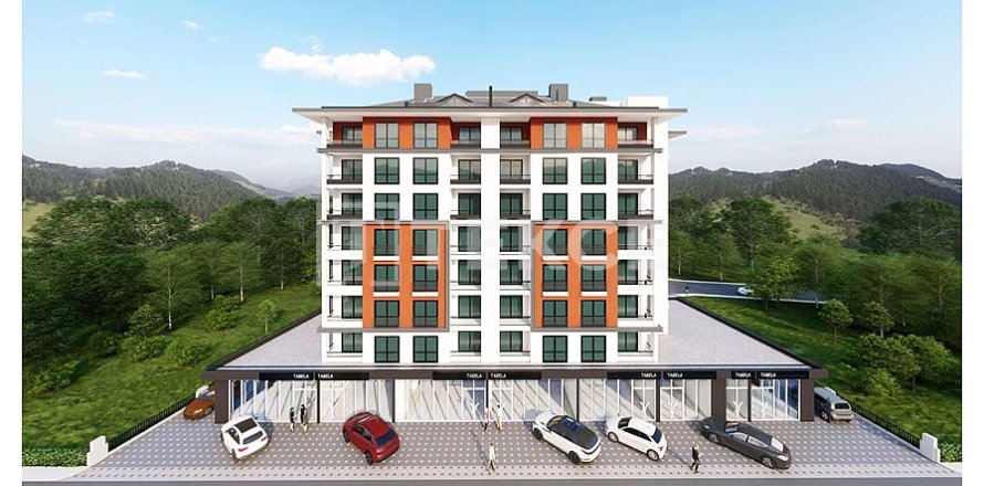 2+1 Apartment in Bursa, Turkey No. 227222