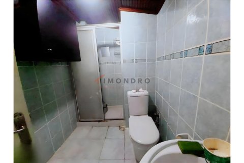 آپارتمان در Besiktas، Istanbul ، ترکیه 3 خوابه ، 110 متر مربع. شماره 225211 - 20