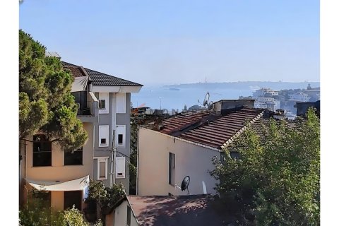 آپارتمان در Besiktas،  Istanbul ، ترکیه 3 خوابه ، 110 متر مربع.  شماره 225211