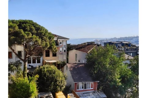 آپارتمان در Besiktas، Istanbul ، ترکیه 3 خوابه ، 110 متر مربع. شماره 225211 - 13