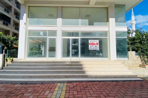 Продажа магазина  в Махмутларе, Анталье, Турция, 600м2, №213324 – фото 1