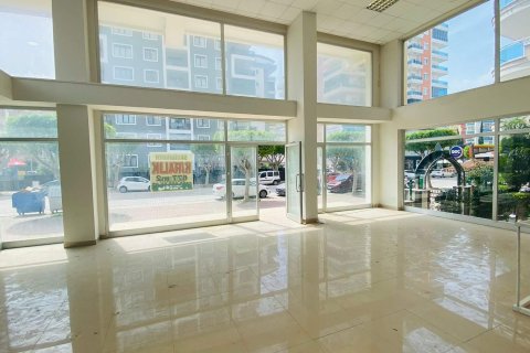 Продажа магазина  в Махмутларе, Анталье, Турция, 600м2, №213324 – фото 14