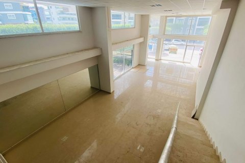 Продажа магазина  в Махмутларе, Анталье, Турция, 600м2, №213324 – фото 16