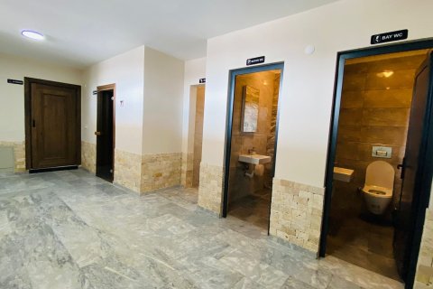 Apartment for sale  in Bektas, Alanya, Antalya, Turkey, 5 bedrooms, 250.0m2, No. 213325 – photo 21