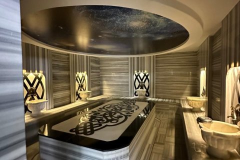 2+1 Wohnung  in Kestel, Antalya, Türkei Nr. 219207 - 18