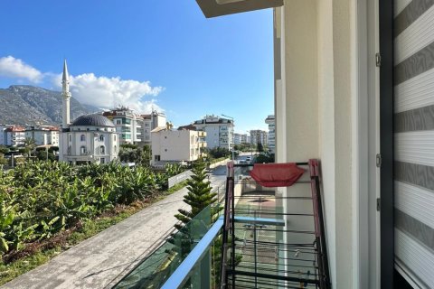 2+1 Wohnung  in Kestel, Antalya, Türkei Nr. 219207 - 12