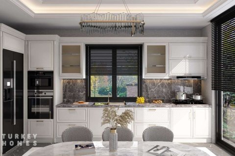 6+1 Villa i Istanbul, Tyrkiet Nr. 233407 - 7