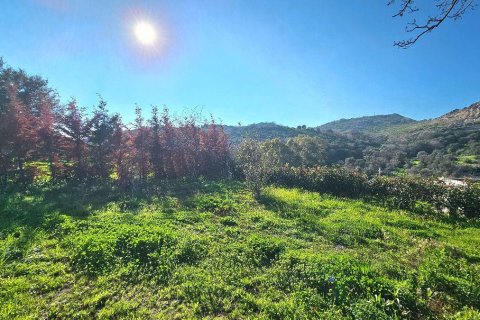 2+1 Villa in Bodrum, Mugla, Türkei Nr. 214906 - 5