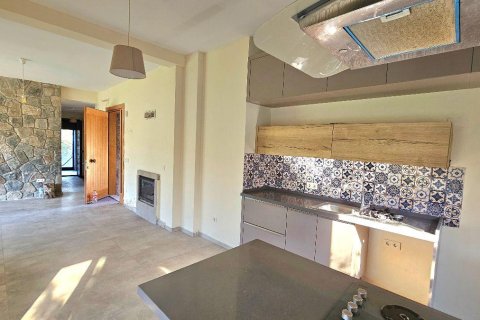 2+1 Villa in Bodrum, Mugla, Türkei Nr. 214906 - 11