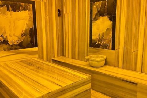 Lägenhet  i Mahmutlar, Antalya, Turkiet Nr. 214910 - 22