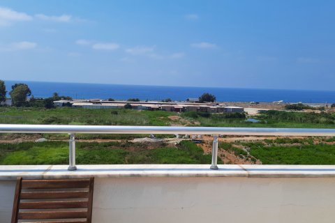 1+1 Wohnung  in Alanya, Antalya, Türkei Nr. 218463 - 11