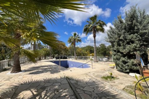 4+1 Villa  i Avsallar, Antalya, Tyrkia Nr. 222372 - 13