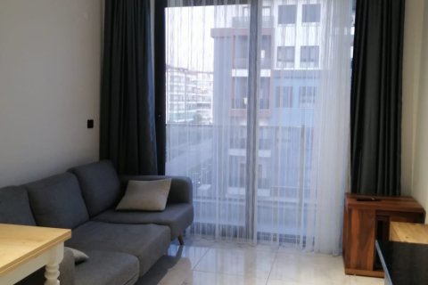 1+1 Wohnung  in Alanya, Antalya, Türkei Nr. 216843 - 25