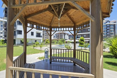 1+1 Wohnung  in Alanya, Antalya, Türkei Nr. 216843 - 22