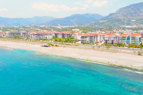 1+1 Wohnung  in Kestel, Antalya, Türkei Nr. 225688 - 6