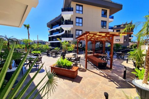 1+1 Wohnung in Alanya, Antalya, Türkei Nr. 216716 - 4