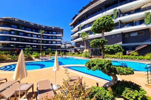 1+1 Wohnung  in Alanya, Antalya, Türkei Nr. 216716