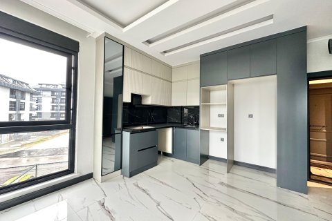 1+1 Wohnung in Alanya, Antalya, Türkei Nr. 216716 - 18