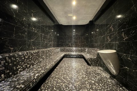 1+1 Wohnung in Alanya, Antalya, Türkei Nr. 216716 - 10