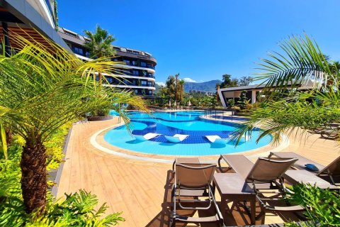 1+1 Wohnung in Alanya, Antalya, Türkei Nr. 216716 - 3