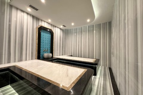 1+1 Wohnung in Alanya, Antalya, Türkei Nr. 216716 - 12