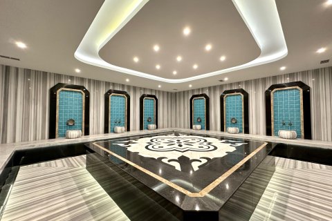 1+1 Wohnung in Alanya, Antalya, Türkei Nr. 216716 - 9