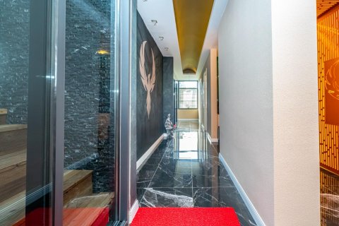 1+1 Wohnung  in Alanya, Antalya, Türkei Nr. 216714 - 24