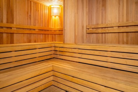 1+1 Wohnung  in Alanya, Antalya, Türkei Nr. 216714 - 26