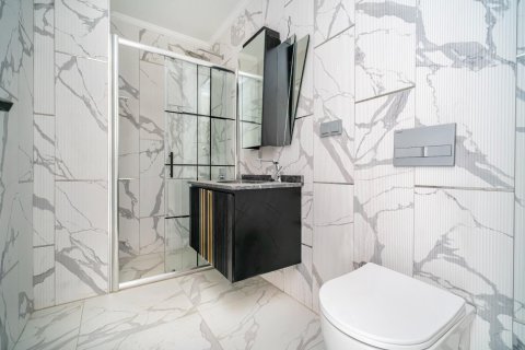 1+1 Wohnung  in Alanya, Antalya, Türkei Nr. 216714 - 17