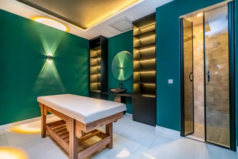 1+1 Wohnung  in Alanya, Antalya, Türkei Nr. 216714 - 22