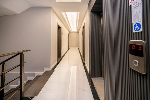 1+1 Wohnung  in Alanya, Antalya, Türkei Nr. 216714 - 23