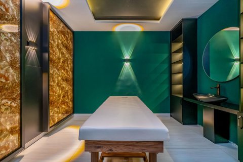 1+1 Wohnung  in Alanya, Antalya, Türkei Nr. 216714 - 25