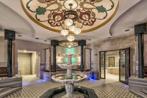 2+1 Wohnung  in Alanya, Antalya, Türkei Nr. 216718 - 15